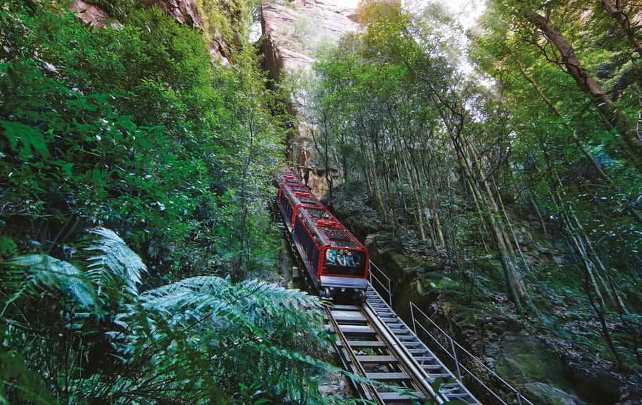 Blue Mountain Small Group Scenic World, Wildlife, Waterfall - Returning by ferry through Sydney Harbour