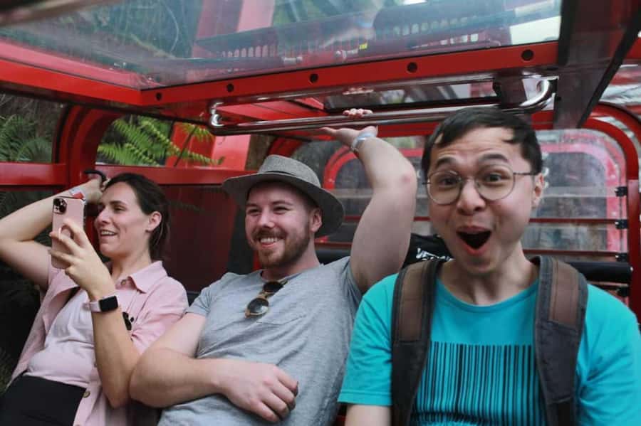 Blue Mountain Tour + Hop-on-Hop-off Big Bus Discover Ticket - Key points at a glance