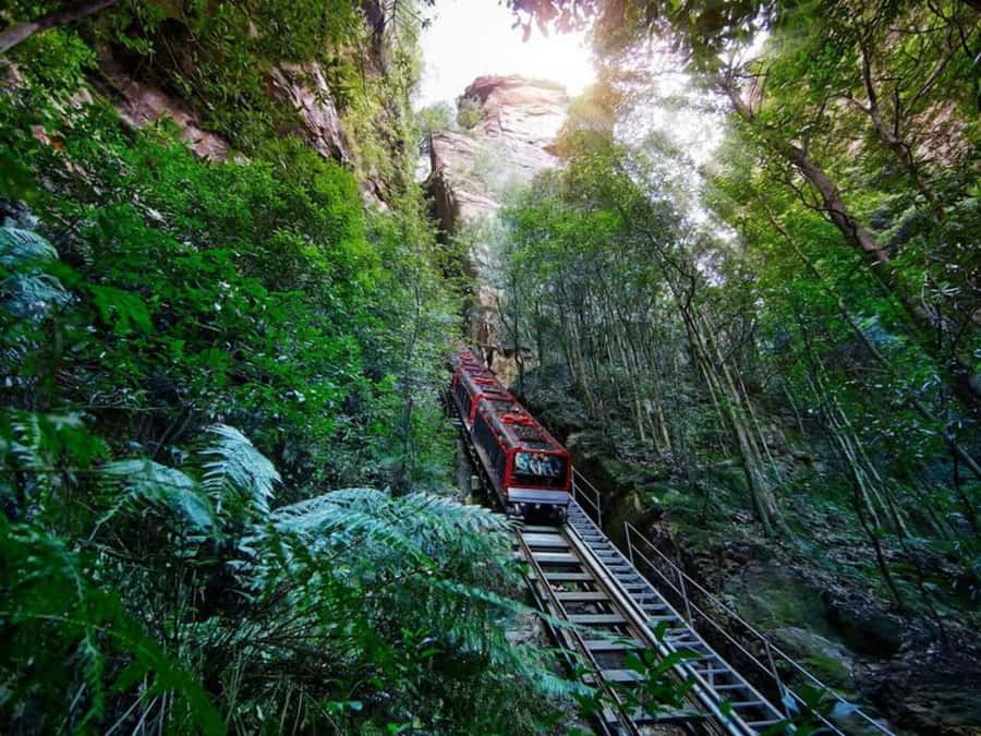Blue Mountain Tour + Hop-on-Hop-off Big Bus Discover Ticket - Sydney Zoo and the Koala Trail