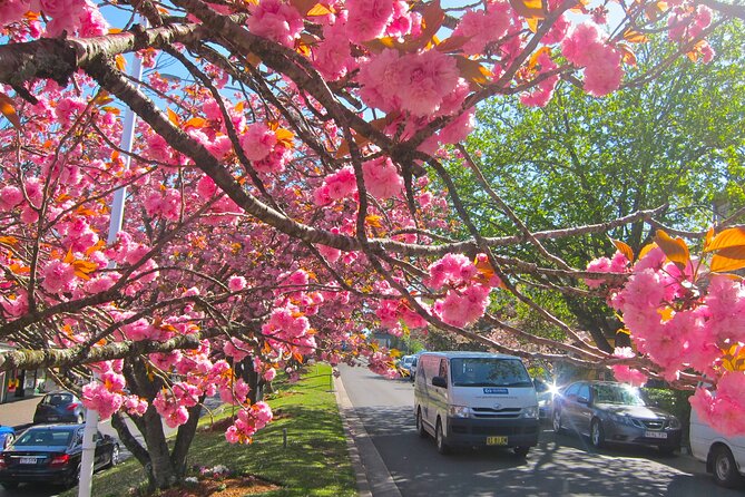 Blue Mountain Tour with Hop on and Hop Off Bus - Leura Village: lunch and a short country-town pause