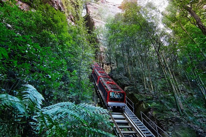 Blue Mountain Tour with Hop on and Hop Off Bus - The Big Bus ticket: 34 city and Bondi Beach stops