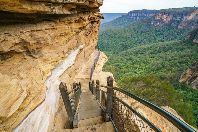 Blue Mountain Tour with Hop on and Hop Off Bus - The 8 a.m. start from Sydney Central Station