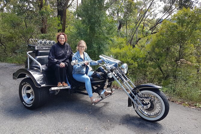 Blue Mountains 1-Hour Trike Tour of Three Sisters - Weather, safety, and practical limits