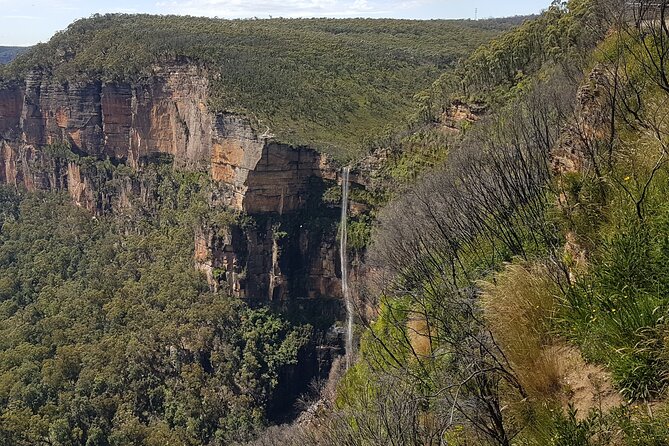 Blue Mountains 1-Hour Trike Tour of Three Sisters - Who will enjoy this ride most?