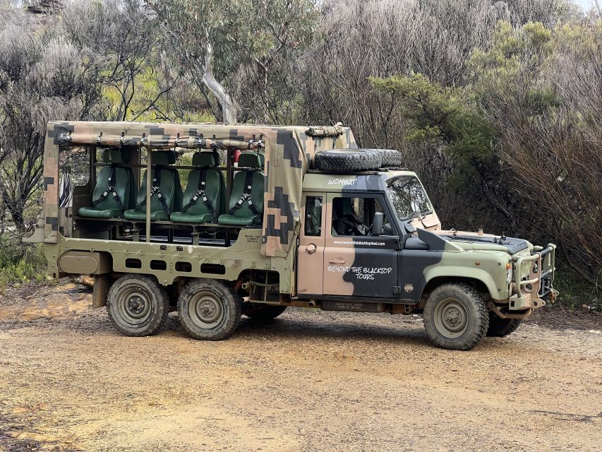 Blue Mountains 3 Hour Army Truck Adventures - Who will enjoy this most?