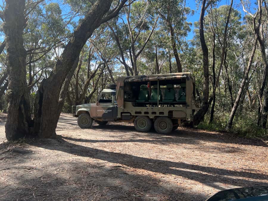 Blue Mountains 3 Hour Army Truck Adventures - Along the cliff line and the valley divide