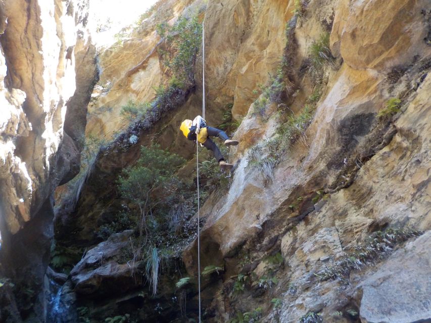 Blue Mountains: Abseiling and Canyoning Experience - The final 30-metre waterfall abseil