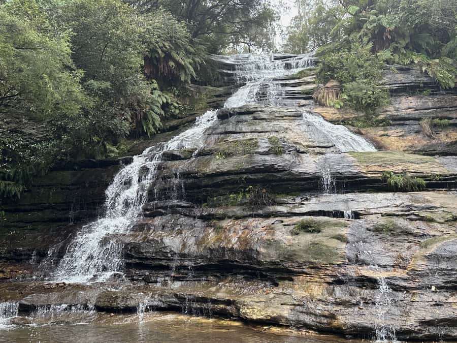 Blue Mountains Adventure: Scenic World, Zoo & Koala Photo - Katoomba Cascades adds a short nature walk