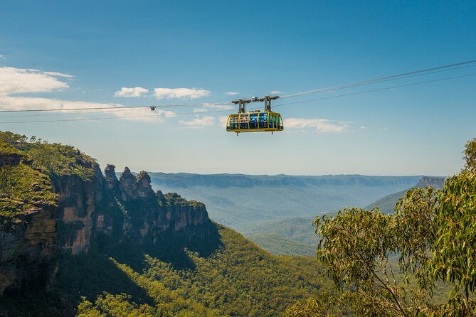 Blue Mountains Adventure w Scenic World, Zoo, Koala Photo & Ferry - Scenic World packs thrills into 90 minutes