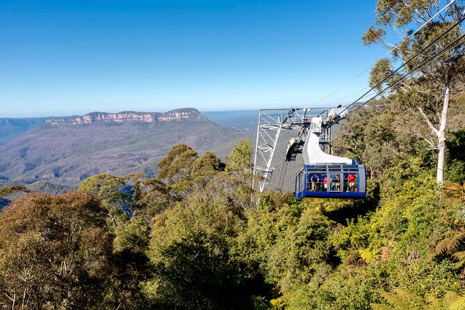 Blue Mountains Adventure w Scenic World, Zoo, Koala Photo & Ferry - The ferry is a fine way to finish
