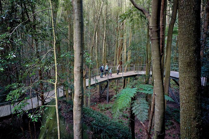 Blue Mountains Adventure w Scenic World, Zoo, Koala Photo & Ferry - Glenbrook gives you a gentle start