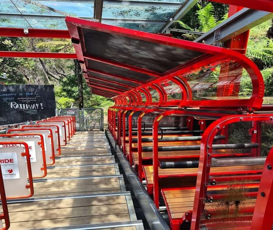 Blue Mountains Adventure: Wild Boar Rock & Cable Car - Key points at a glance
