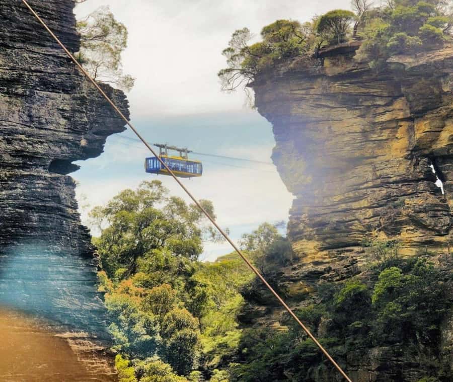 Blue Mountains Adventure: Wild Boar Rock & Cable Car - What the $108 price really covers