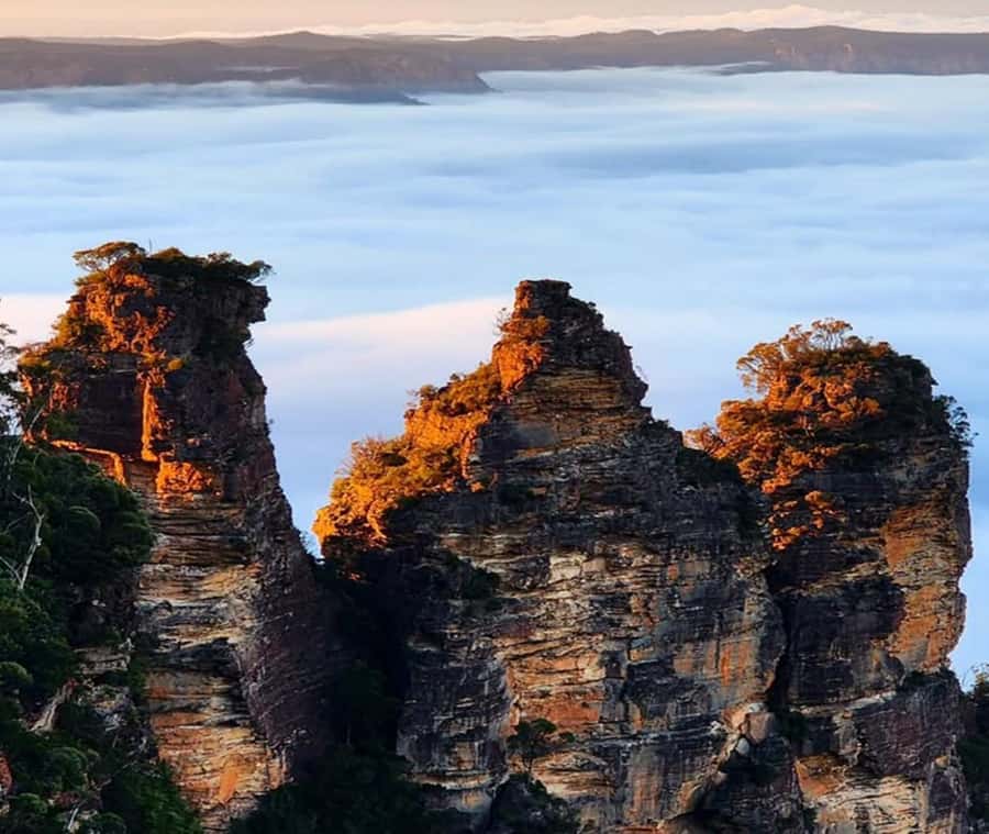 Blue Mountains Adventure: Wild Boar Rock & Cable Car - Who should book this Blue Mountains day trip?