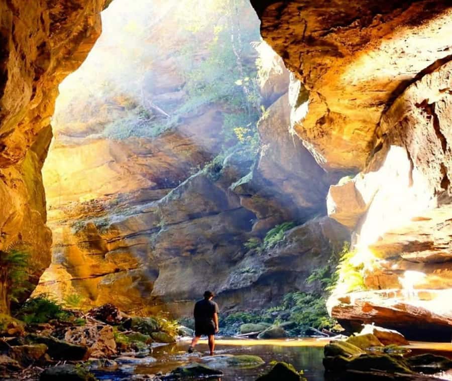 Blue Mountains Adventure: Wild Boar Rock & Cable Car - Booking details worth knowing