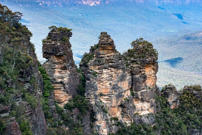 Blue Mountains Big Day Out - Private Tour - Featherdale Wildlife Park and Australian animals