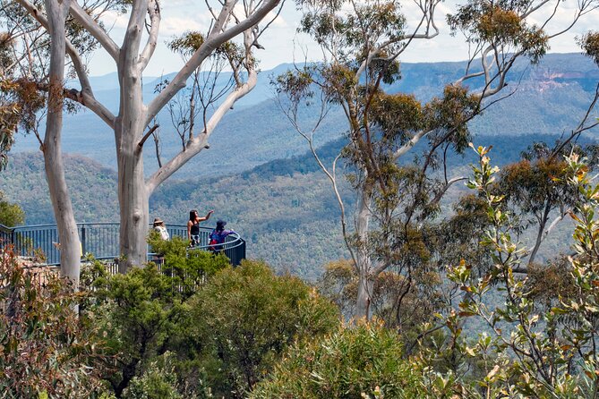Blue Mountains Big Day Out - Private Tour - Glenbrook and the first taste of bush country