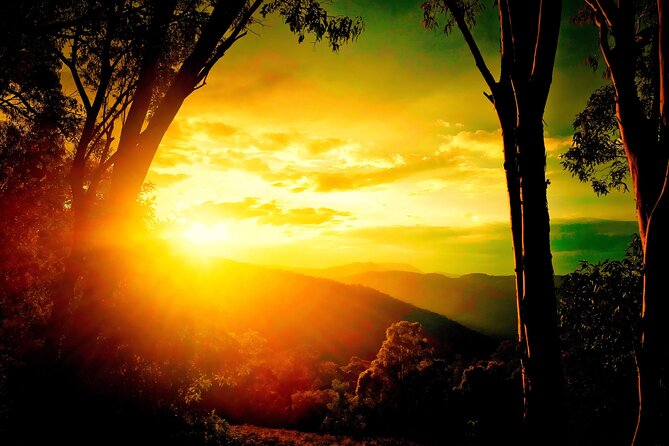 Blue Mountains Day, Sunset Tour & Glow Worms Night Adventure - Key points to know before booking