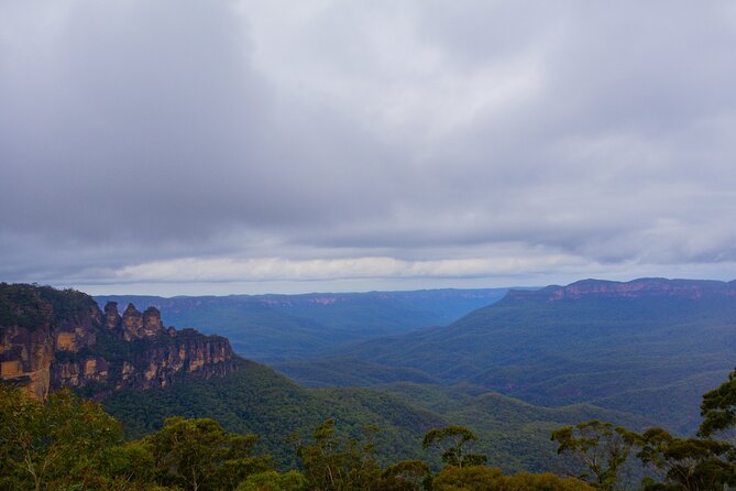 Blue Mountains Day Tour from Sydney - Sydney Zoo: a quick introduction to Australian wildlife