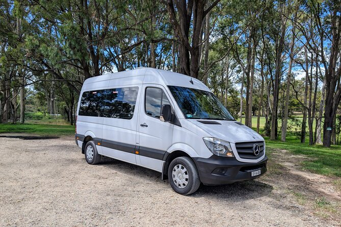 Blue Mountains Day Tour -Scenic World, Koalas & Roos (15 ppl LUX) - The Aboriginal rock engraving