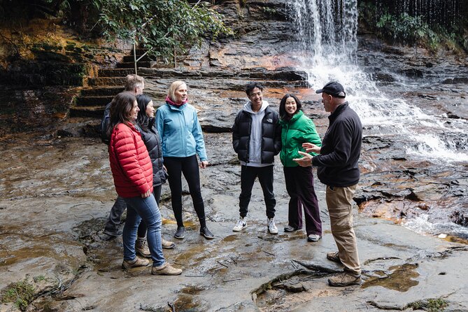 Blue Mountains Day Tour With Bushwalks, Waterfalls & Featherdale - Quiet lookouts and Jamison Valley views