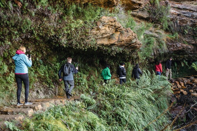 Blue Mountains Day Tour With Bushwalks, Waterfalls & Featherdale - Featherdale Wildlife Park adds close animal encounters