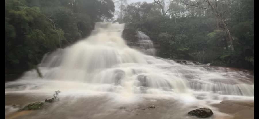 Blue Mountains day tour with Cruise, Scenic world pass & Zoo - Bushwalking to Wentworth Falls or Bridal Veil Falls