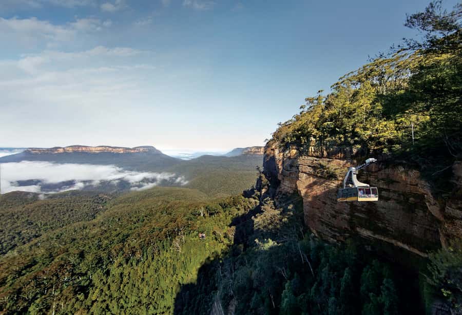 Blue Mountains day tour with Cruise, Scenic world pass & Zoo - Returning to Sydney by Parramatta River
