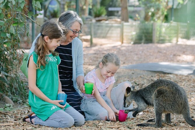 Blue Mountains Day Tour with Scenic World and Wildlife Park Entry - The optional ferry back to Sydney