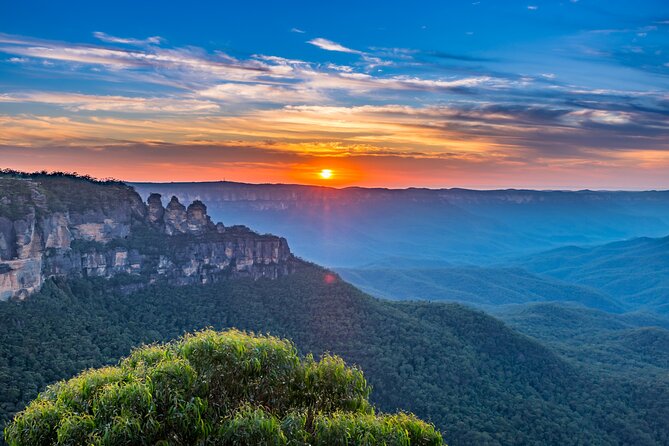 Blue Mountains Day Tour with Wildlife and Scenic World Entry - Featherdale starts the day with kangaroos and koalas