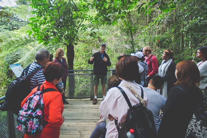 Blue Mountains Day Tour with Wildlife, Walks and Scenic World - Why this Blue Mountains day works well from Sydney