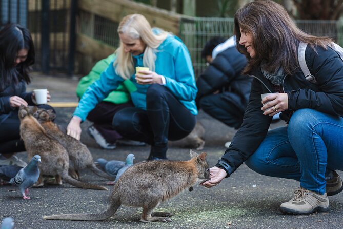 Blue Mountains Day Tour with Wildlife, Walks and Scenic World - Scenic World packs several attractions into 90 minutes