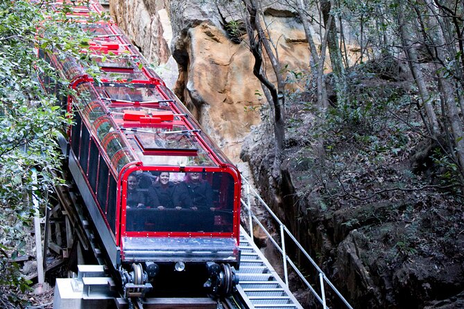 Blue Mountains Day Tour with Wildlife, Walks and Scenic World - Wentworth Falls brings the first big mountain view