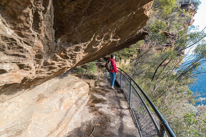 Blue Mountains Deluxe Small-Group Eco Wildlife Tour from Sydney - The Hydro Majestic lunch upgrade