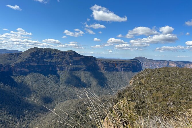 Blue Mountains Full Day Guided Tour - Why this tour avoids the usual Sydney day-trip problem