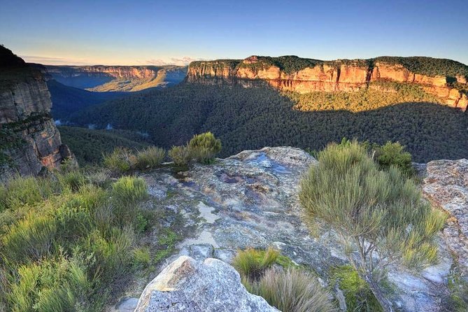 Blue Mountains Highlights, Wildlife Park and Scenic World Full Day Private Tour - A guided walk in Blue Mountains National Park