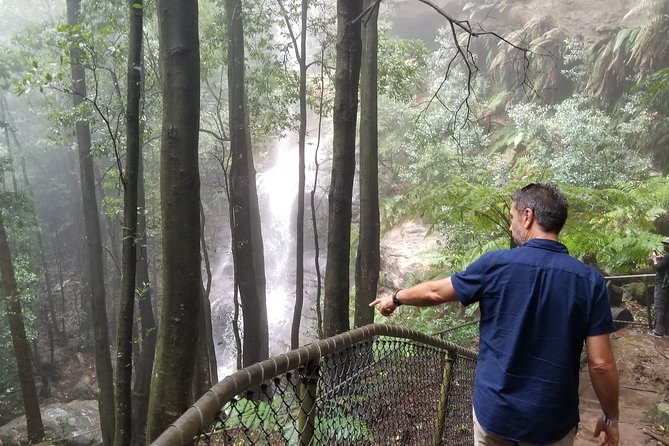 Blue Mountains Highlights, Wildlife Park and Scenic World Full Day Private Tour - Leura Mall and lunch on your terms