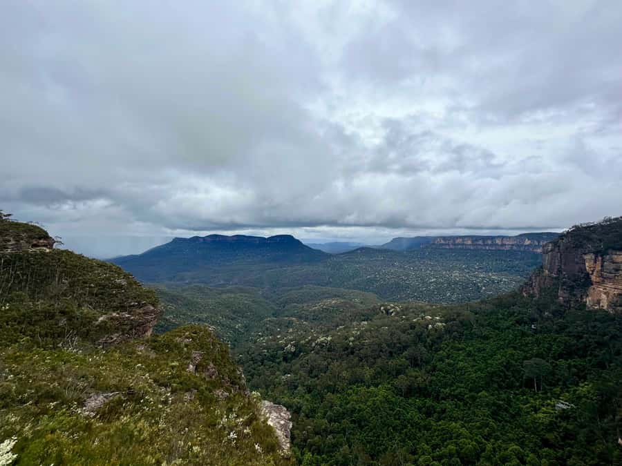 Blue Mountains: Inside a World Heritage National Park - Transport, group size, and the shape of the day