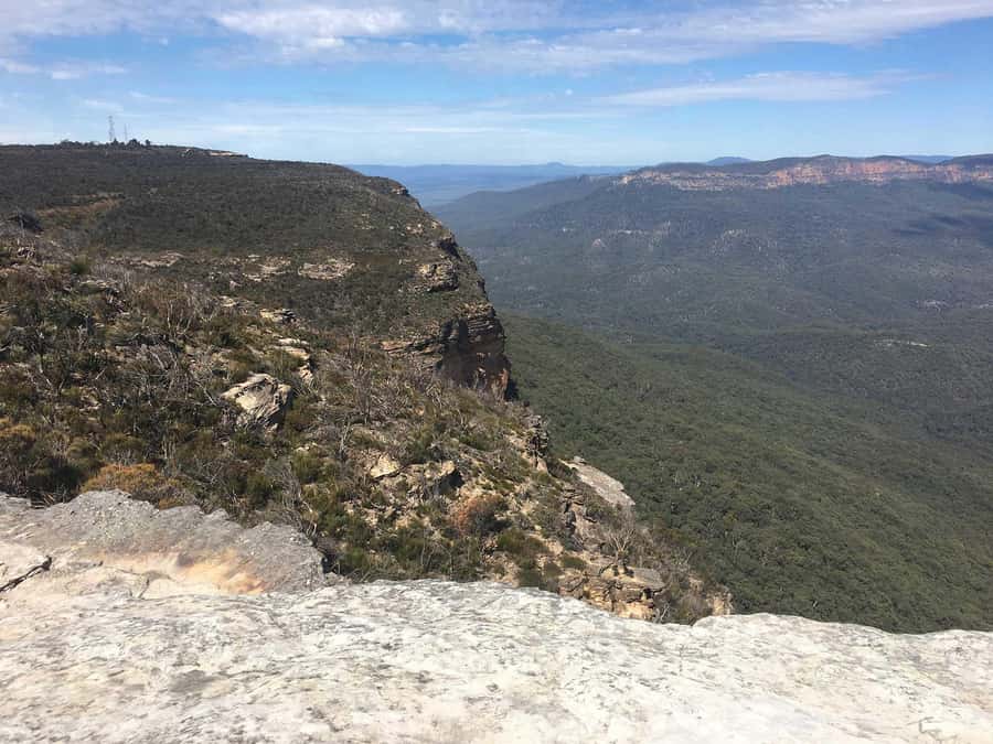 Blue Mountains: Inside a World Heritage National Park - Featherdale Wildlife Park: a close look at Australian animals