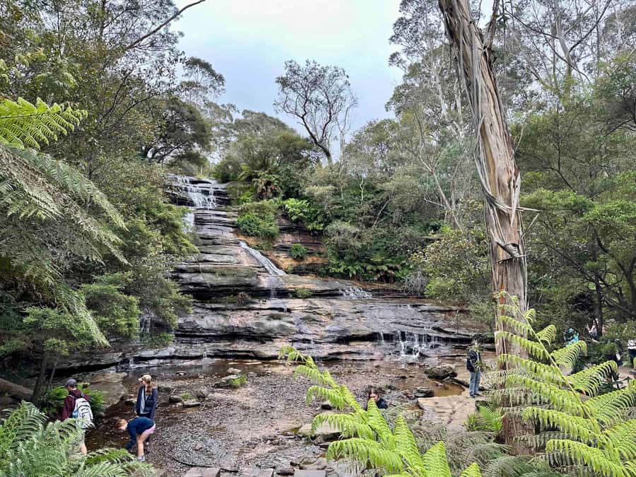 Blue Mountains: Inside a World Heritage National Park - The Three Sisters and the short scenic stops