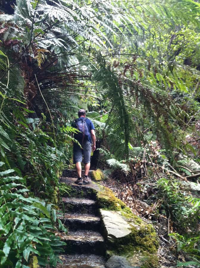 Blue Mountains: Inside a World Heritage National Park - Govetts Leap and the Grose Valley