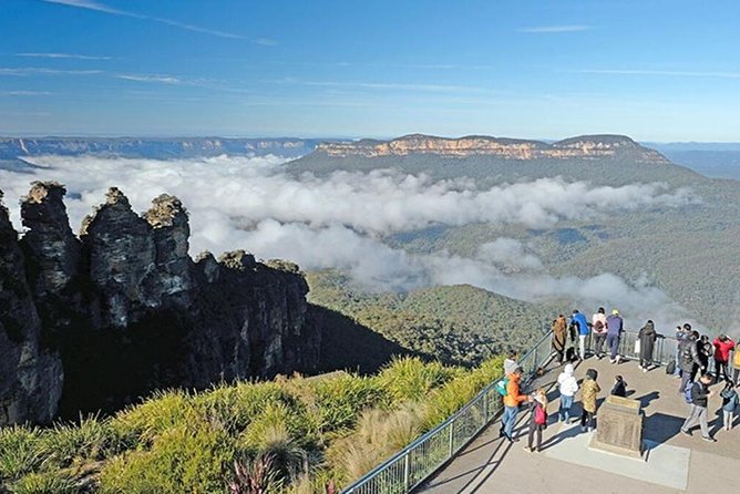 Blue Mountains | Koalas, Kangaroos & Bondi Beach Private Tour - Key points at a glance