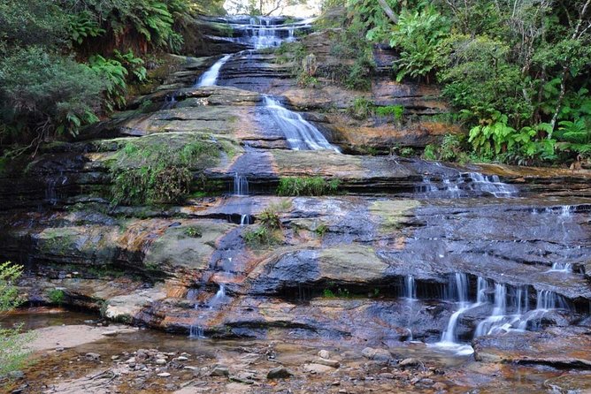 Blue Mountains | Koalas, Kangaroos & Bondi Beach Private Tour - Choosing Scenic World or Bondi Beach