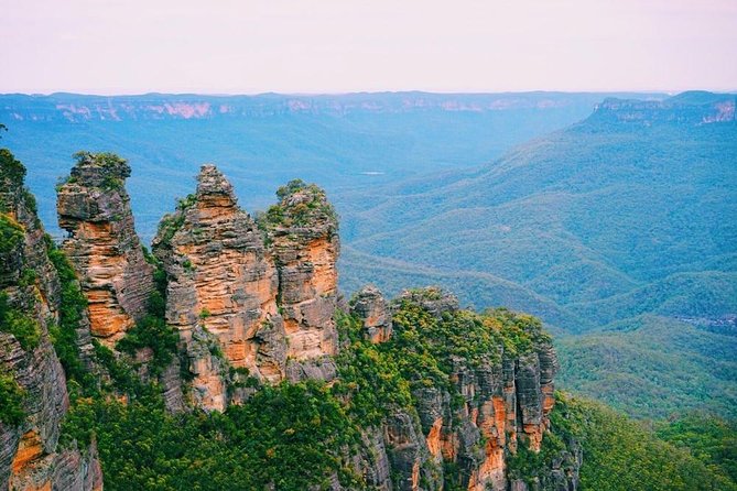 Blue Mountains | Koalas, Kangaroos & Bondi Beach Private Tour - Featherdale Sydney Wildlife Park and Australian animals
