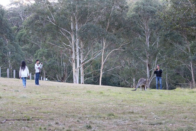 Blue Mountains Private Charter - Blackheath reaches beyond the Jamison Valley