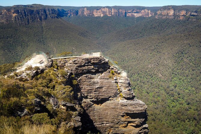 Blue Mountains Private Charter - Wildlife and Glenbrook National Park