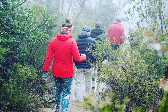 Blue Mountains Private Hiking Tour from Sydney - The Three Sisters adds the famous landmark