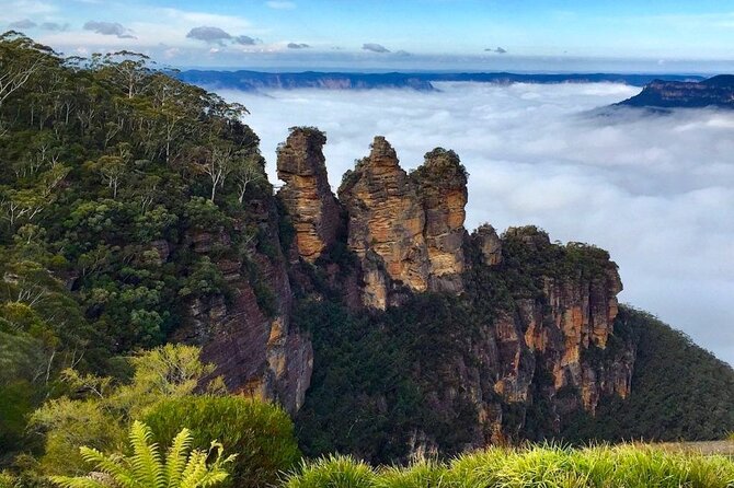 Blue Mountains Private Hiking Tour from Sydney - Dryridge Estate is a relaxed finish