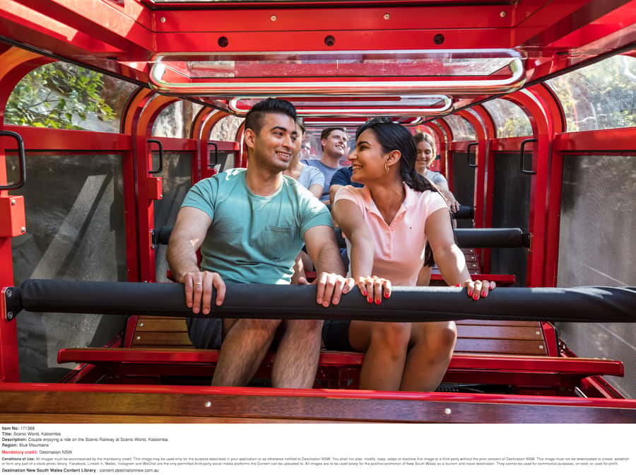 Blue Mountains: Private Scenic Tour with Optional Stops - What the guide adds to the day