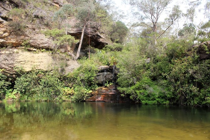 Blue Mountains Private Tour - Why a private Blue Mountains day makes sense